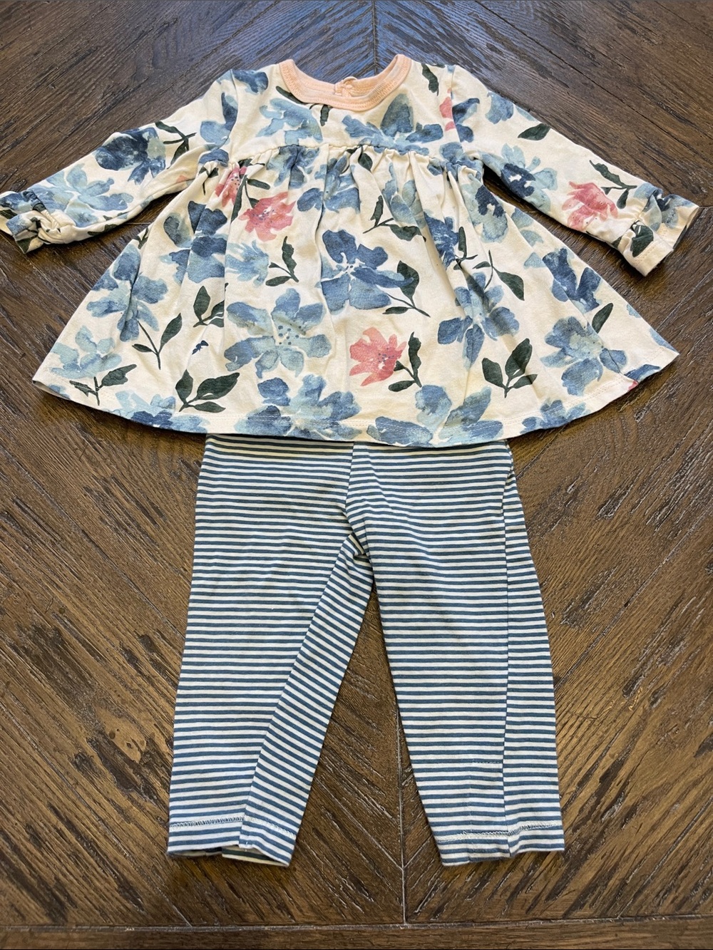 Burt's Bees Baby Floral Top and Striped Leggings Set - Blue, Pink, Cream